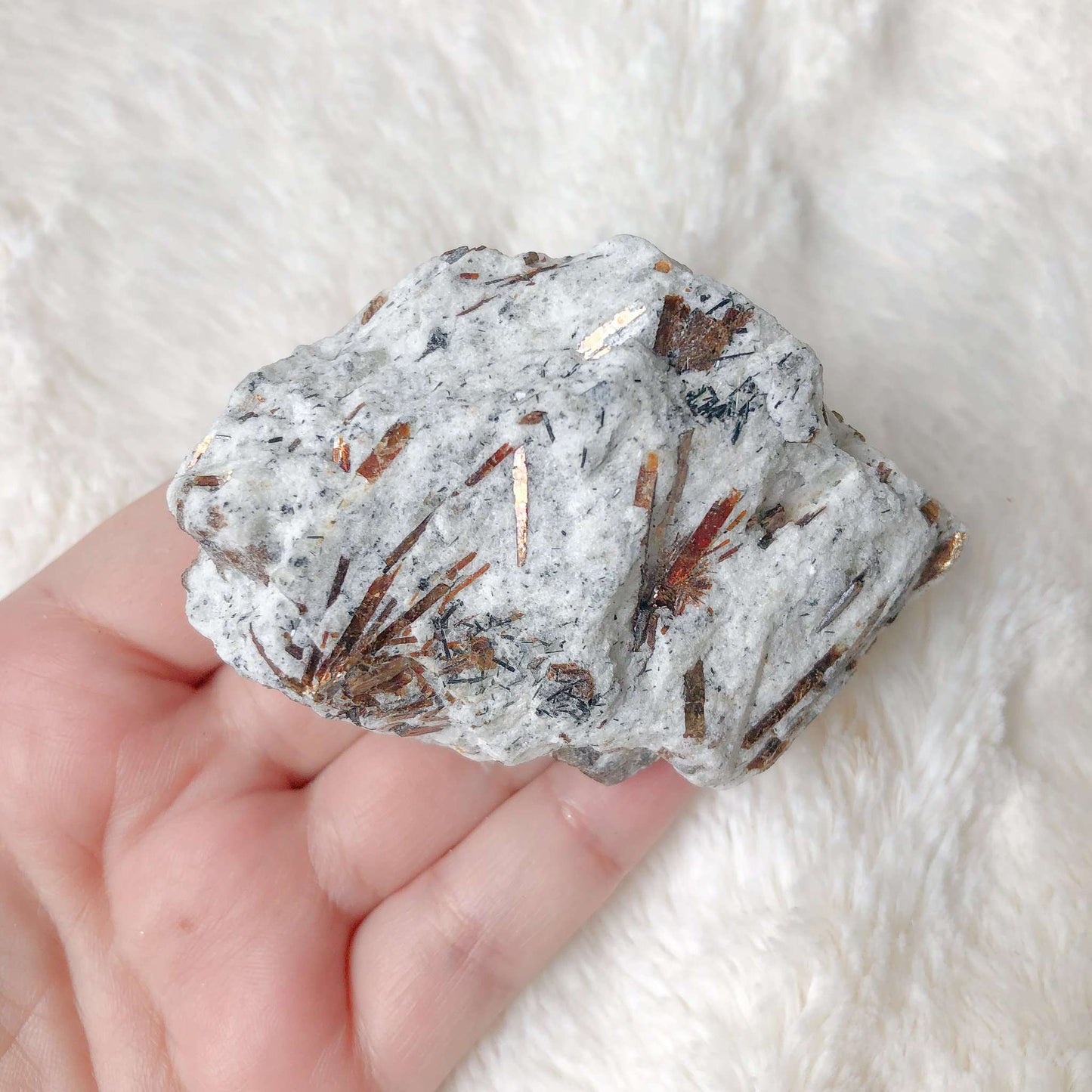 Rare and White Astrophyllite in hand